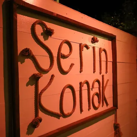 Serin