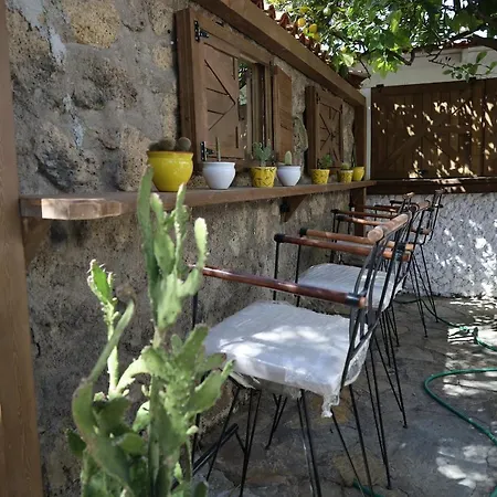 Serin Alacati